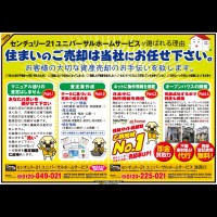 2月11日入 折込み広告 裏