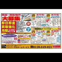 12月7日 折込広告