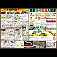 2018年8月4日 折込広告