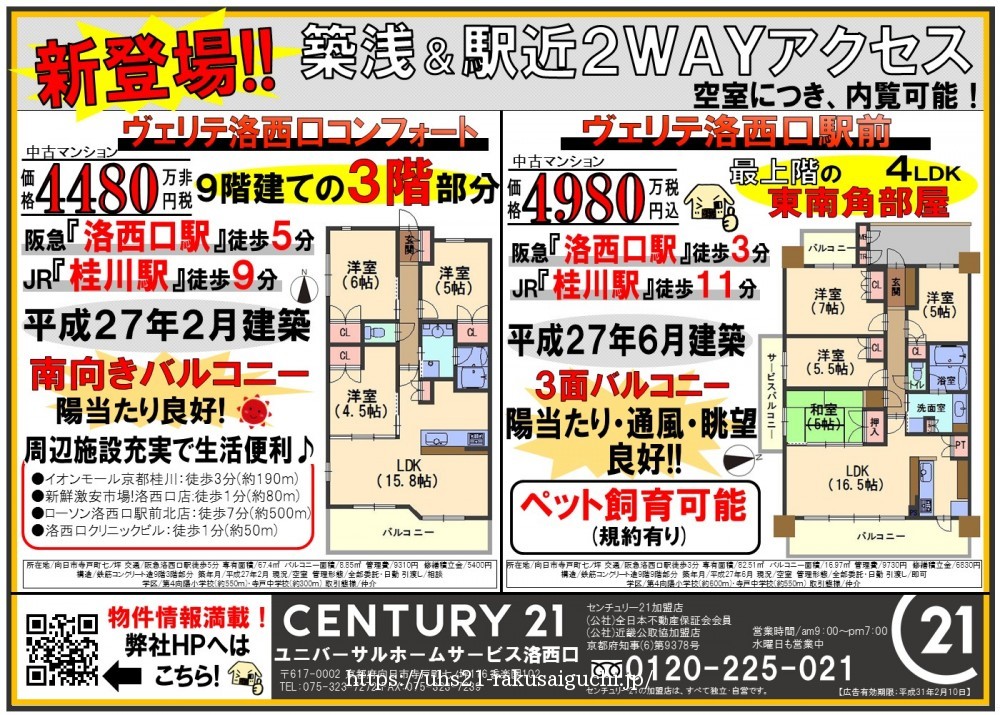 2019年1月11日折込広告