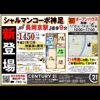 2019年1月12日折込広告
