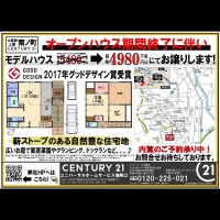 2019年2月7日広告