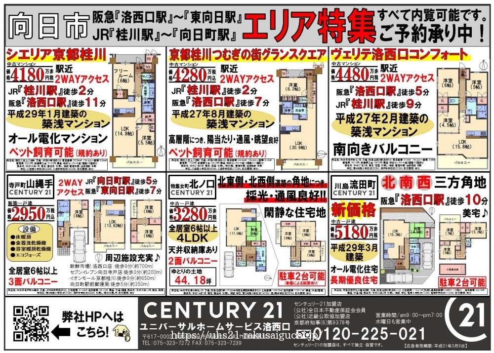 2019年2月11日広告