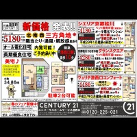 2019年2月16日折込広告