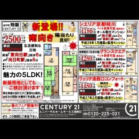 2019年2月18日広告