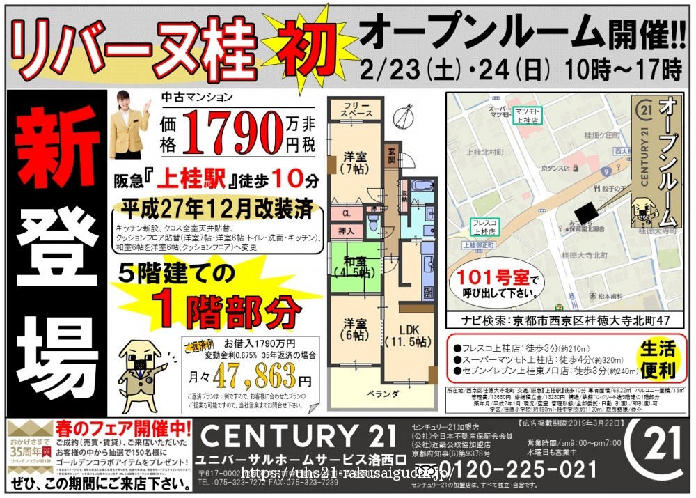 2019年2月22日折込広告