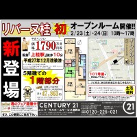 2019年2月22日折込広告