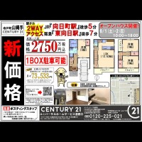 2019年6月1日折込広告