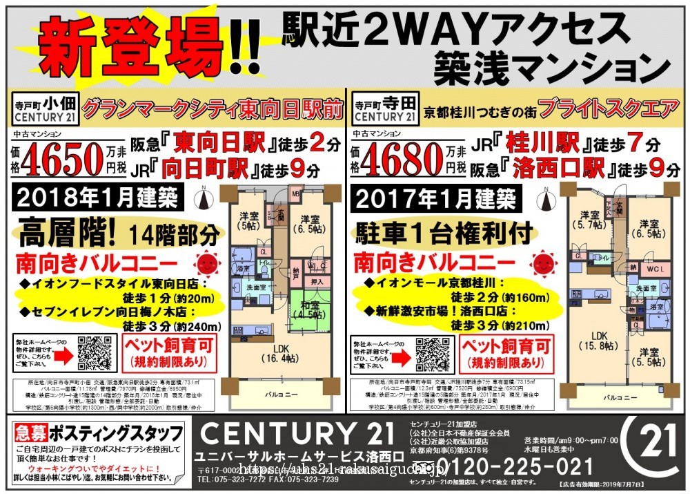 2019年6月8日折込広告