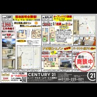 2019年8月3日折込広告