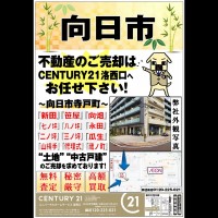 2019年9月5日広告