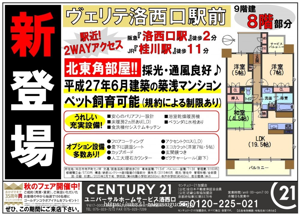2019年9月7日折込広告