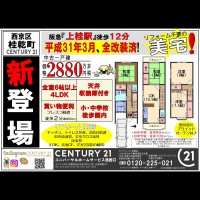 2020年3月7日広告