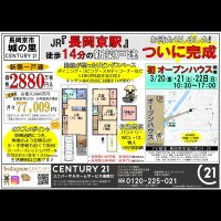 2020年3月20日広告