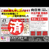 2020年11月5日広告
