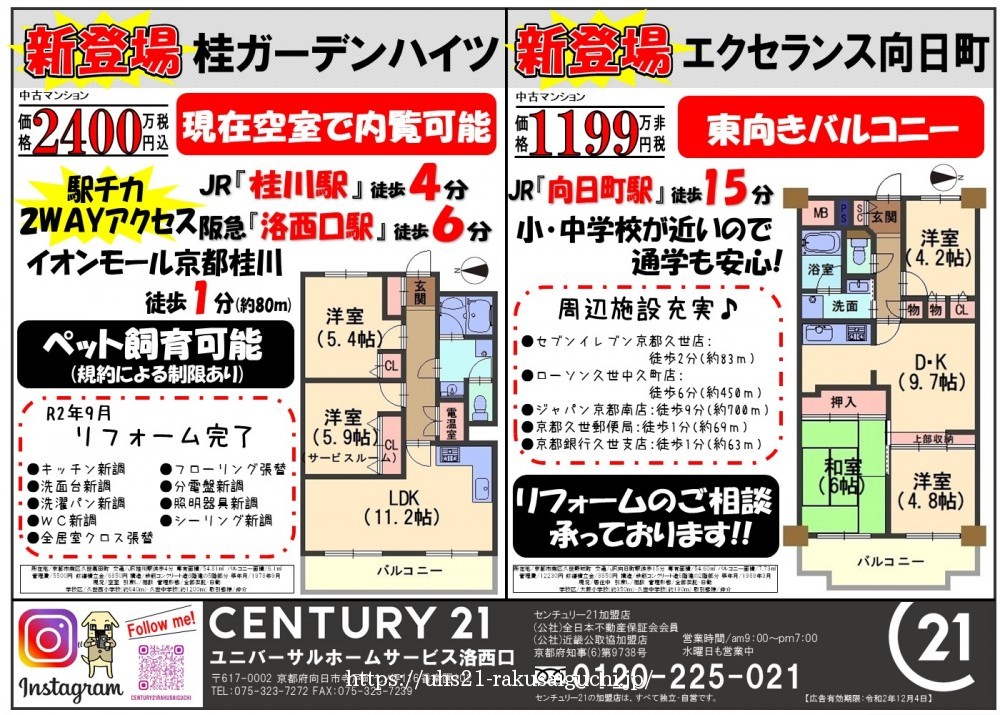 2020年11月5日広告