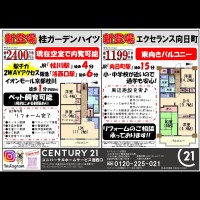 2020年11月5日広告