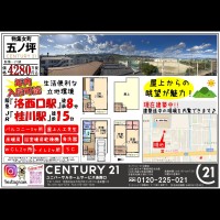 2020年11月5日広告