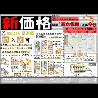 2020年11月7日折込