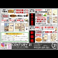 2020年11月19日広告