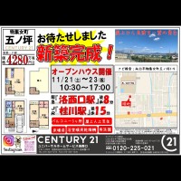 2020年11月21日広告