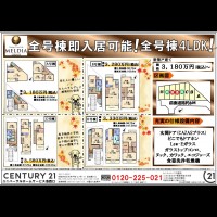 2020年11月21日広告