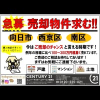 2021年1月28日広告