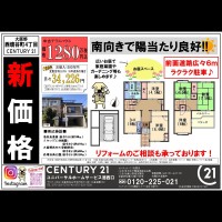 2021年2月20日広告